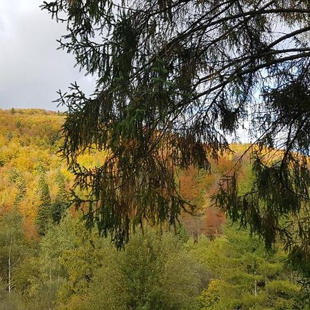 Lesne Berdo Przyslup Bed and Breakfast Cisna Buitenkant foto