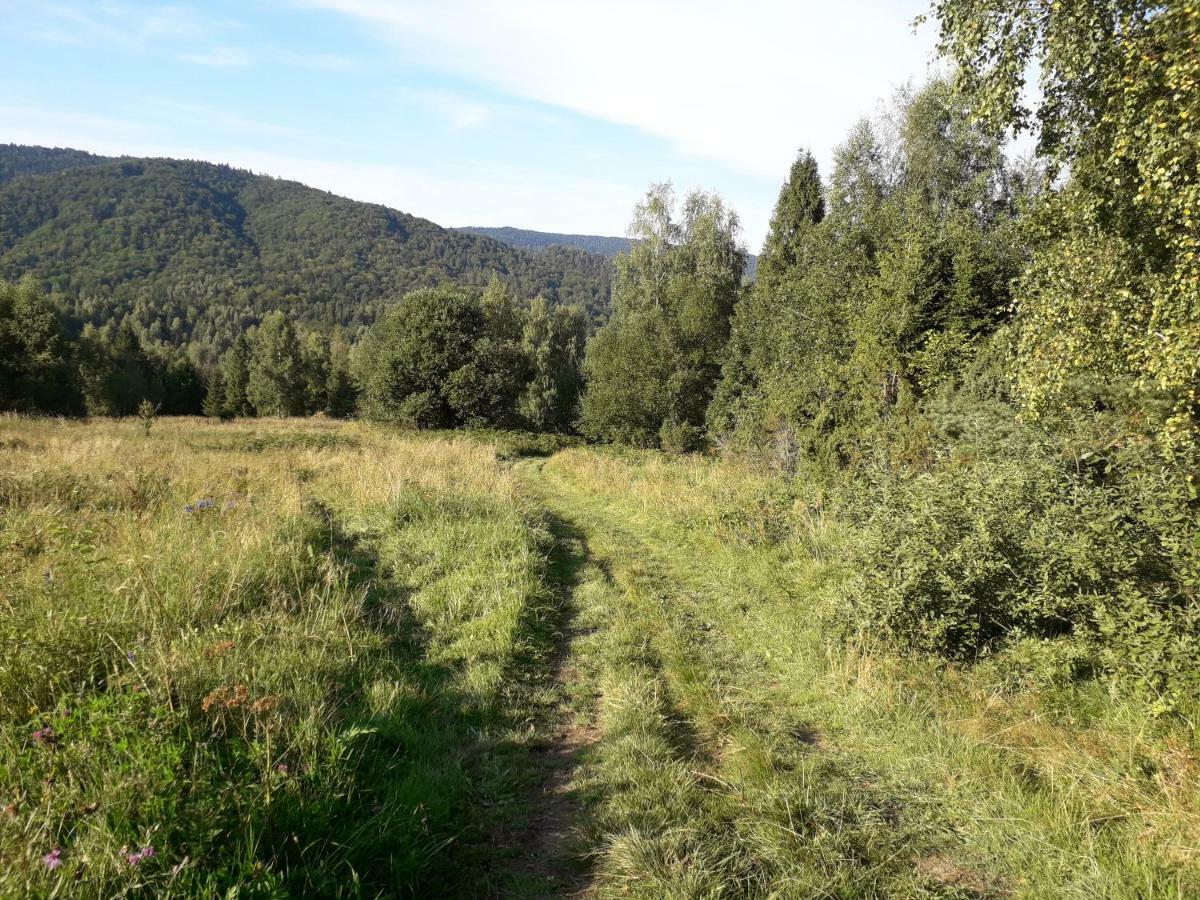 Lesne Berdo Przyslup Bed and Breakfast Cisna Buitenkant foto
